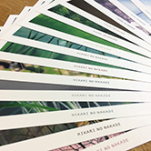 ポストカード＆封筒／株式会社丸久小山園　写真家 井上隆雄「光のなかで」13枚セット(2020)